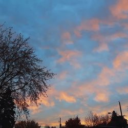 Low angle view of silhouette trees against sky at sunset