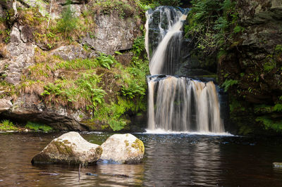 View of waterfall in a forest