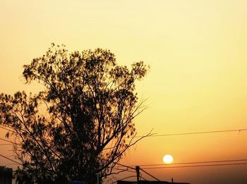 Silhouette of trees at sunset