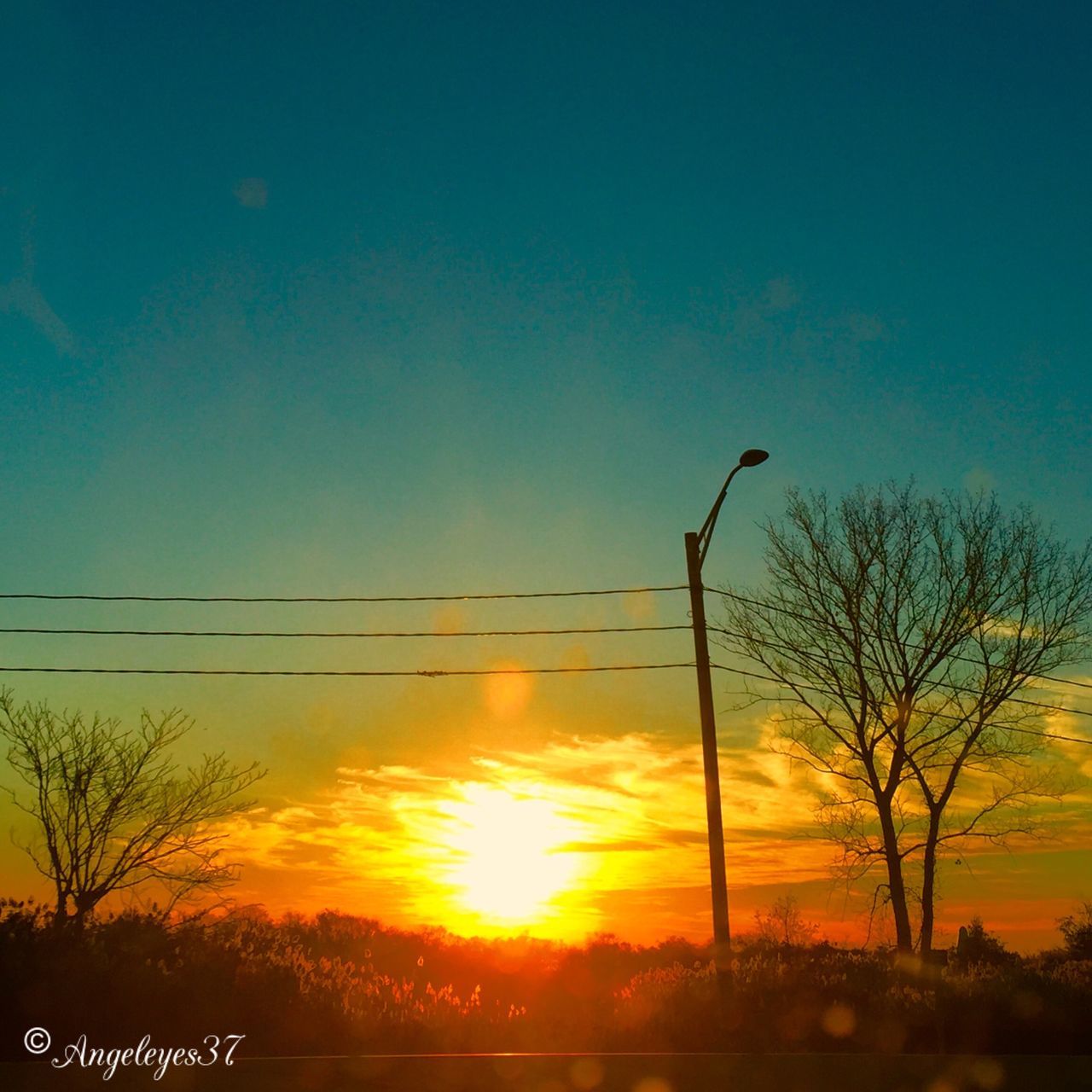 sunset, silhouette, sun, tree, orange color, tranquility, scenics, tranquil scene, bare tree, beauty in nature, sky, nature, idyllic, blue, sunlight, clear sky, landscape, no people, copy space, outdoors