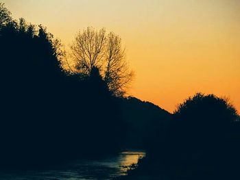 Silhouette of trees at sunset