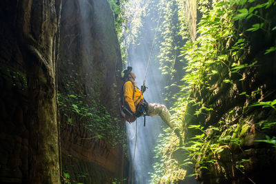 Scenic view of waterfall in forest