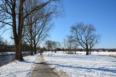 Bare trees on snow covered landscape