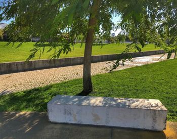 View of trees on field