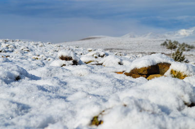 Close-up of snow on land against sky