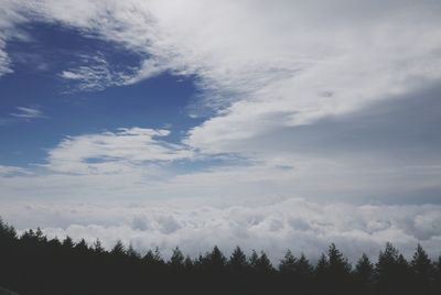 Silhouette of trees against cloudy sky