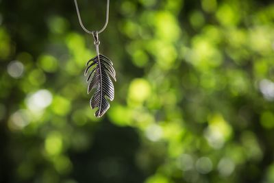 Close-up of butterfly on leaf