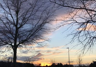 Low angle view of silhouette trees against sky