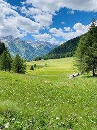 Scenic view of field against sky