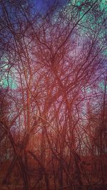 Low angle view of tree against sky