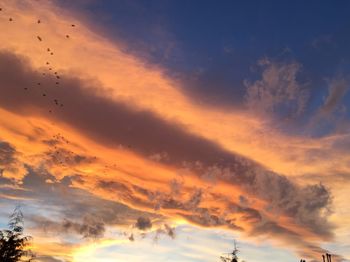 Low angle view of scenic sky