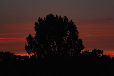 Low angle view of silhouette tree against orange sky