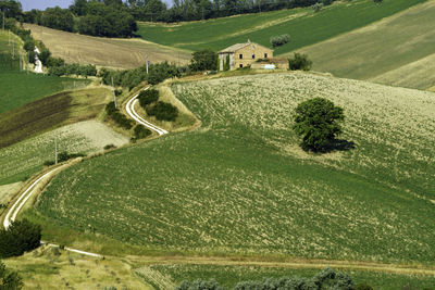 Scenic view of agricultural landscape