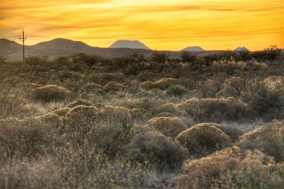 View of dramatic sky at sunset