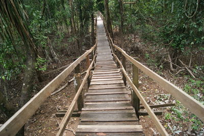 View of footbridge in forest