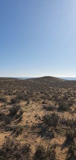 Scenic view of landscape against clear sky