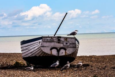 Bird on beach against sky