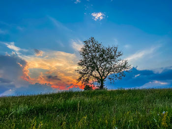 Scenic view of field against sky during sunset