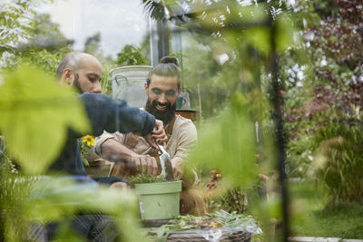 Men gardening in greenhouse