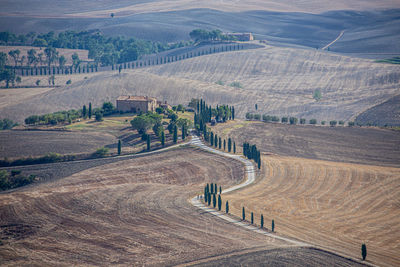 High angle view of agricultural field