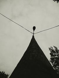 Low angle view of bird on tree against sky