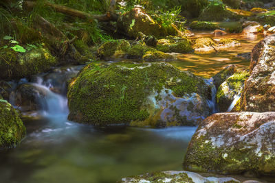 Stream flowing through rocks in forest