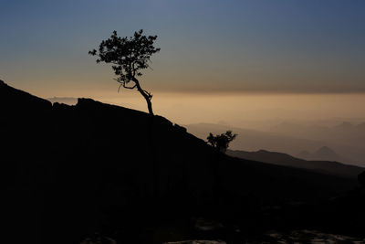 Silhouette tree on mountain against sky during sunset