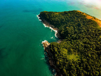 High angle view of rock on sea shore