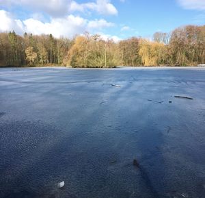 Surface level of road amidst trees against sky