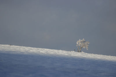 Snow covered field against sky