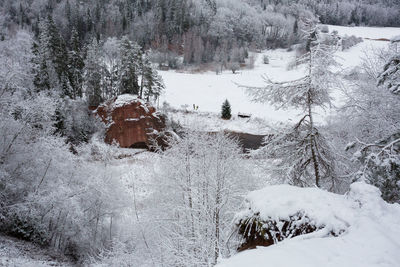 Scenic view of snow covered land