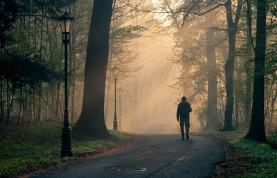Rear view of man walking on footpath amidst trees in foggy weather