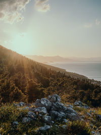 Scenic view of landscape against sky