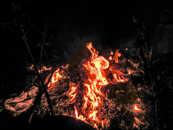 Close-up of bonfire at night