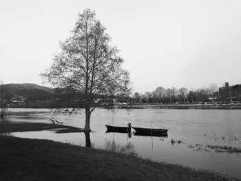 Calm lake with trees in background