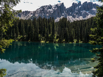 Scenic view of karersee lake by pine trees with rocky mountains in background