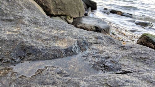 Close-up of rocks in water