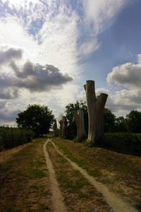 Road amidst trees on field against sky