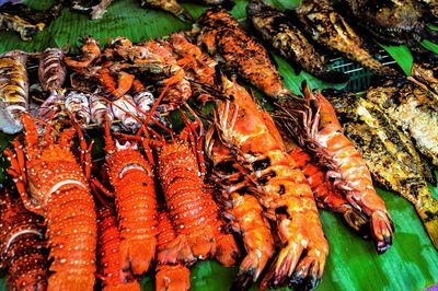 High angle view of fish on barbecue