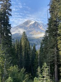 Mount rainier in all her glory