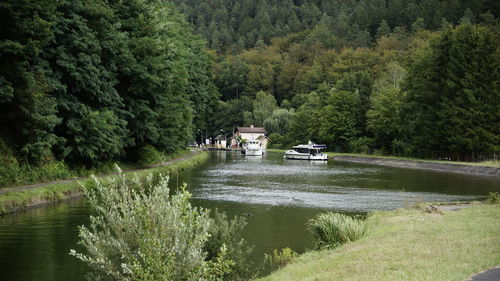 Scenic view of lake in forest