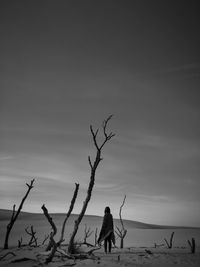 Rear view of woman standing by dead trees at dessert against sky