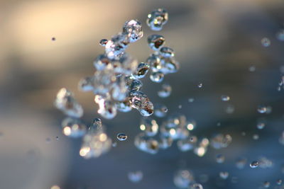 Close-up of water drops on leaf