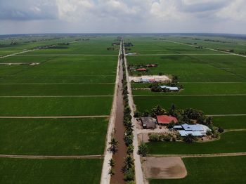 High angle view of agricultural field against sky