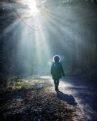 Rear view of man walking in forest