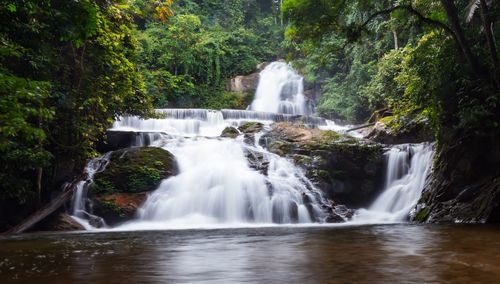 Scenic view of waterfall in forest