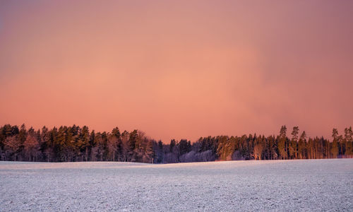 A beautiful winter landscape of forest. first snow in norther europe. 