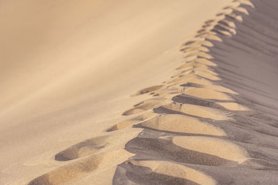 Close-up of sand dunes at beach