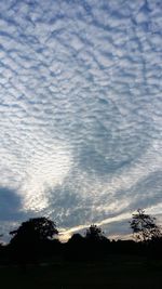 Silhouette trees against sky