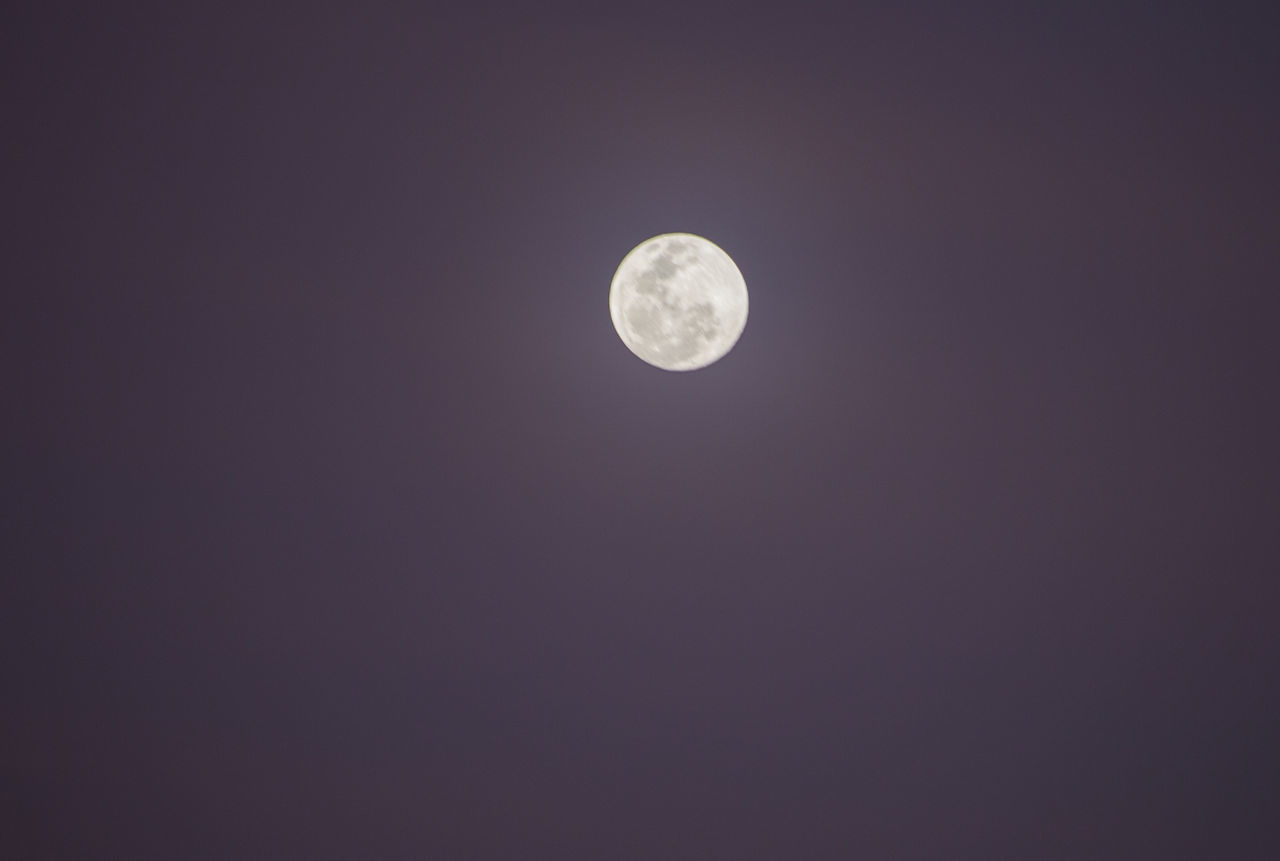 LOW ANGLE VIEW OF FULL MOON IN SKY